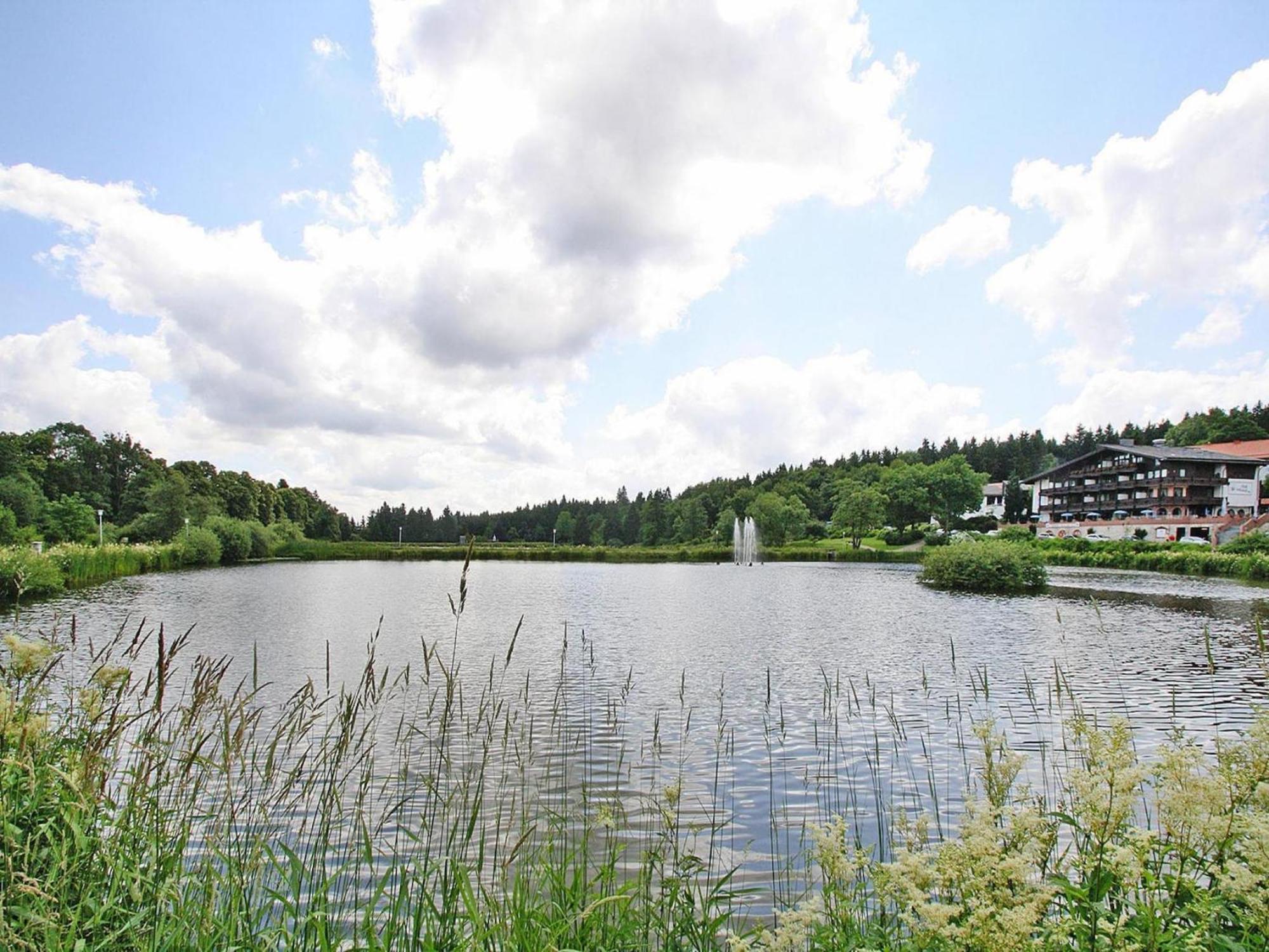 Ferienwohnung In Hahnenklee 고슬라르 외부 사진